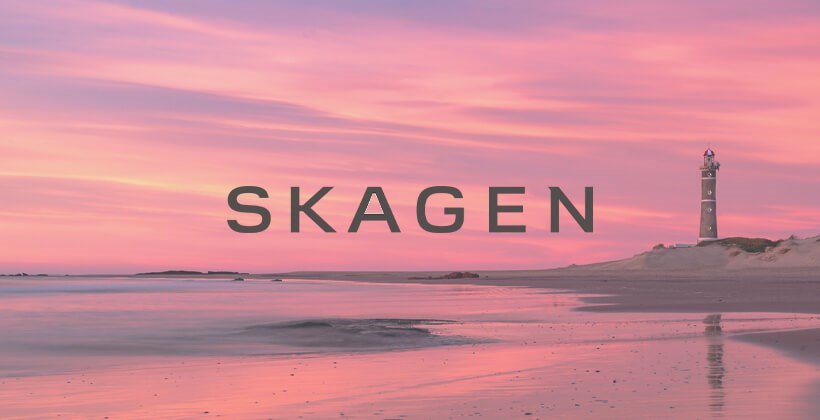 SKAGEN nakit 1