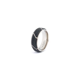GEMINI Titanium ring