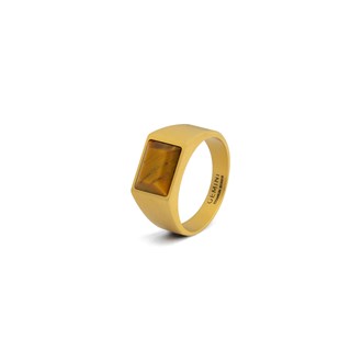 GEMINI 18k gold plated Titanium signet ring