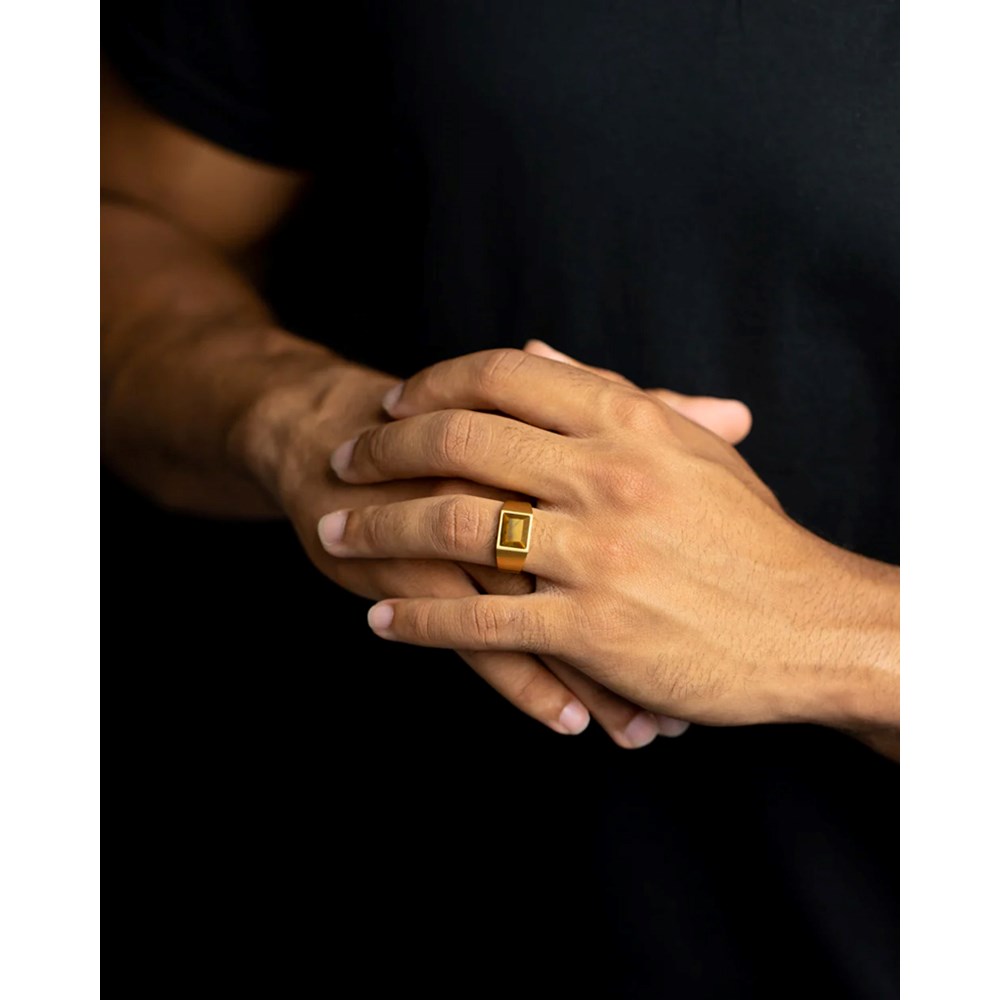 GEMINI 18k gold plated Titanium signet ring
