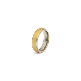 GEMINI TITANIUM RING