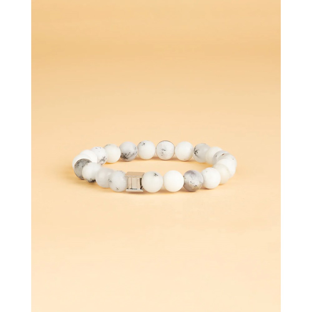 GEMINI GEM SNOW