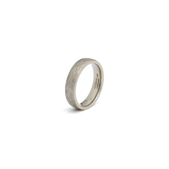 GEMINI TITANIUM RING