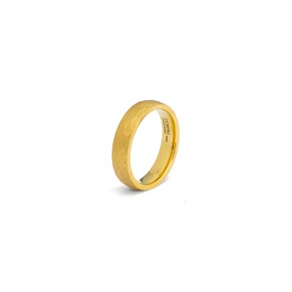 GEMINI TITANIUM RING