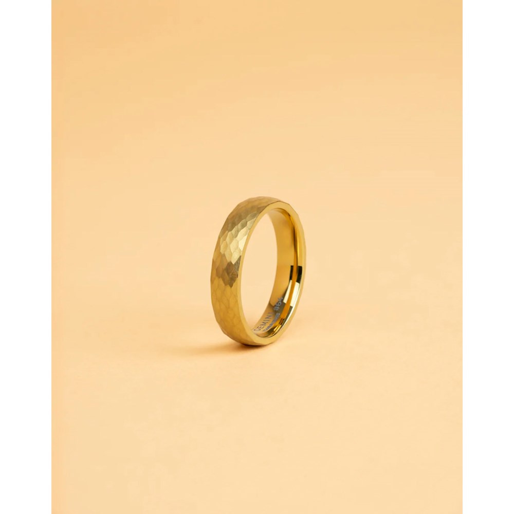 GEMINI TITANIUM RING