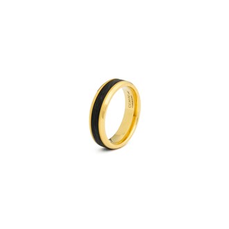 GEMINI TITANIUM RING