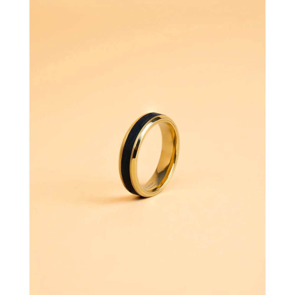 GEMINI TITANIUM RING