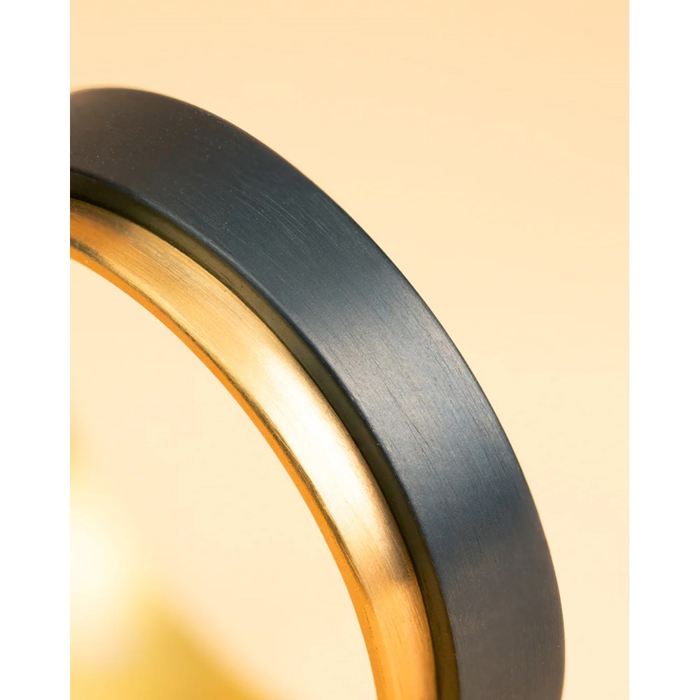 GEMINI TWO-TONED TITANIUM RING