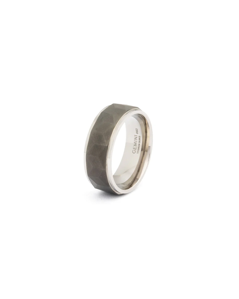 GEMINI TIMOR SILVER BLACK lifestyle