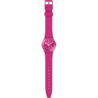 SWATCH GP166