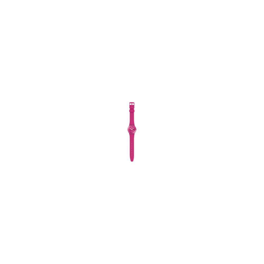 SWATCH GP166