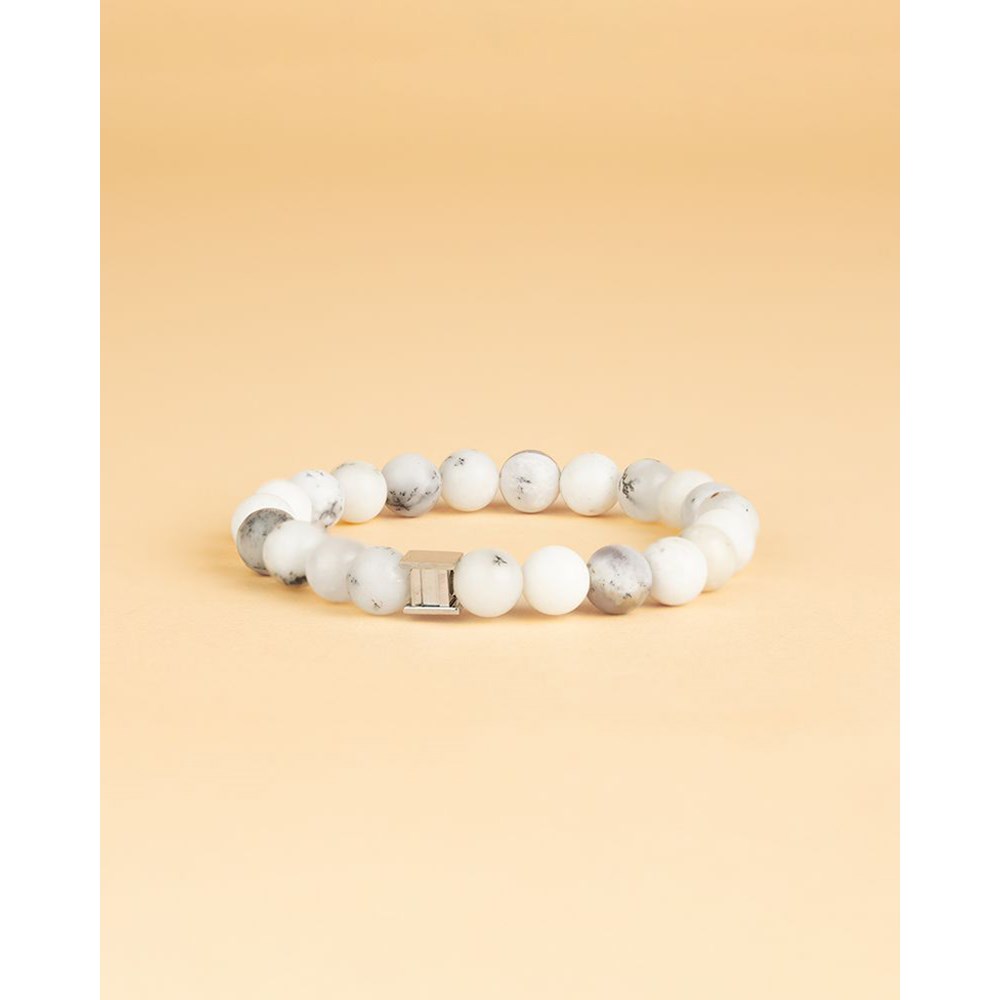 GEMINI GEM SNOW
