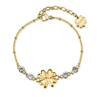 BROSWAY CHAKRA GOOD LUCK