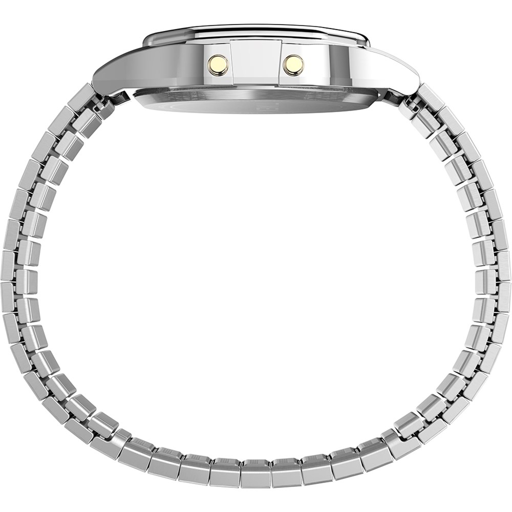 TIMEX T80