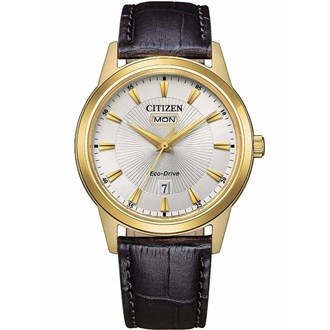 CITIZEN CLASSIC