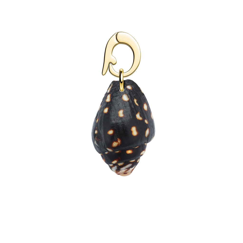 ROSEFIELD Junonia Shell lifestyle