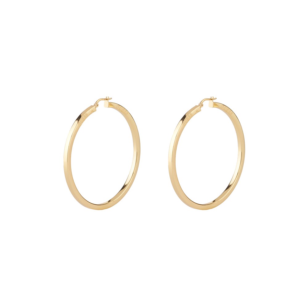 GUESS HOOPS I DID IT AGAIN