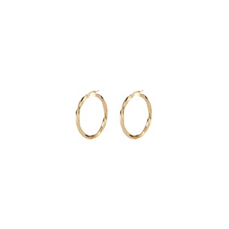 GUESS HOOPS I DID IT AGAIN