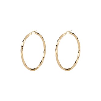 GUESS HOOPS I DID IT AGAIN