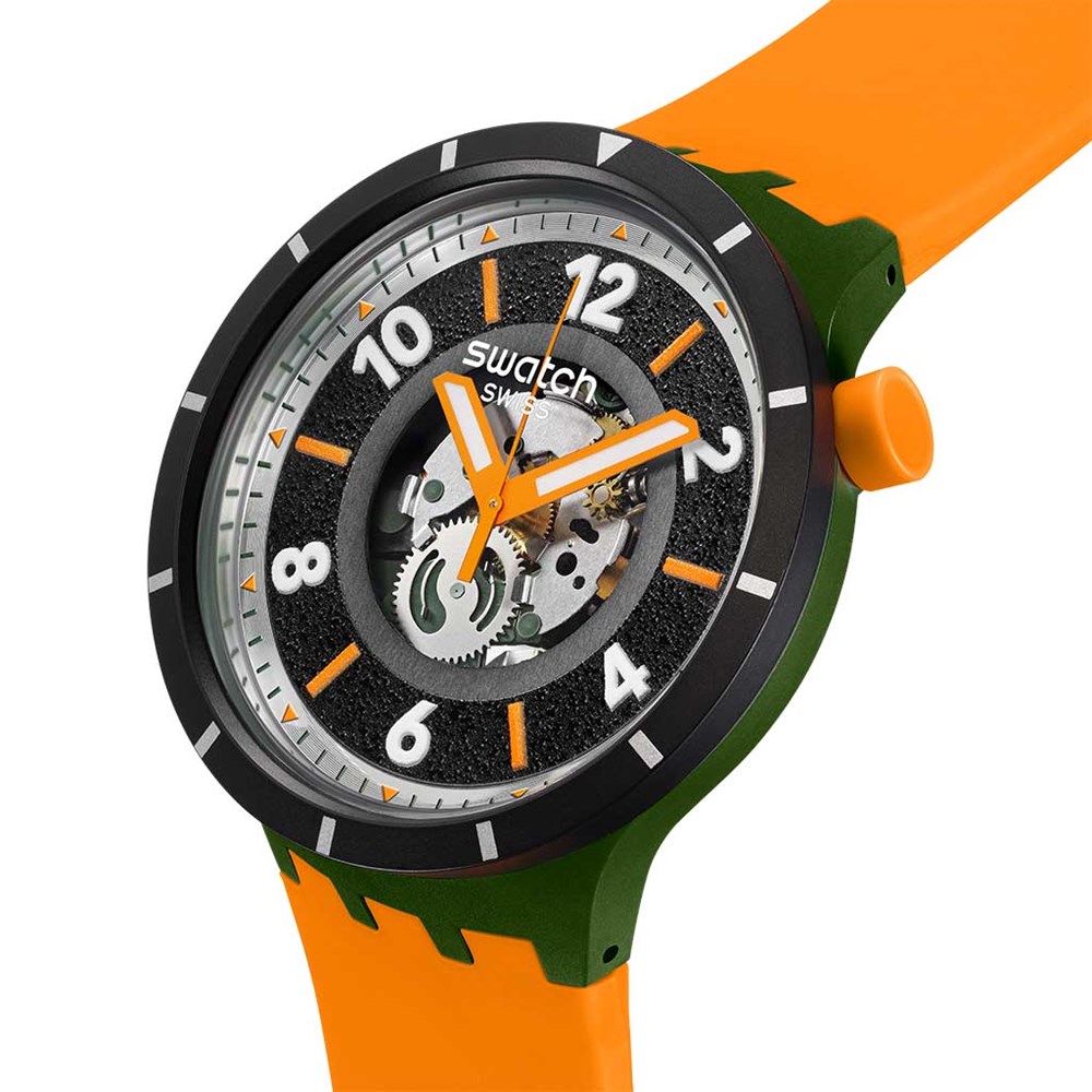 SWATCH FALL-IAGE