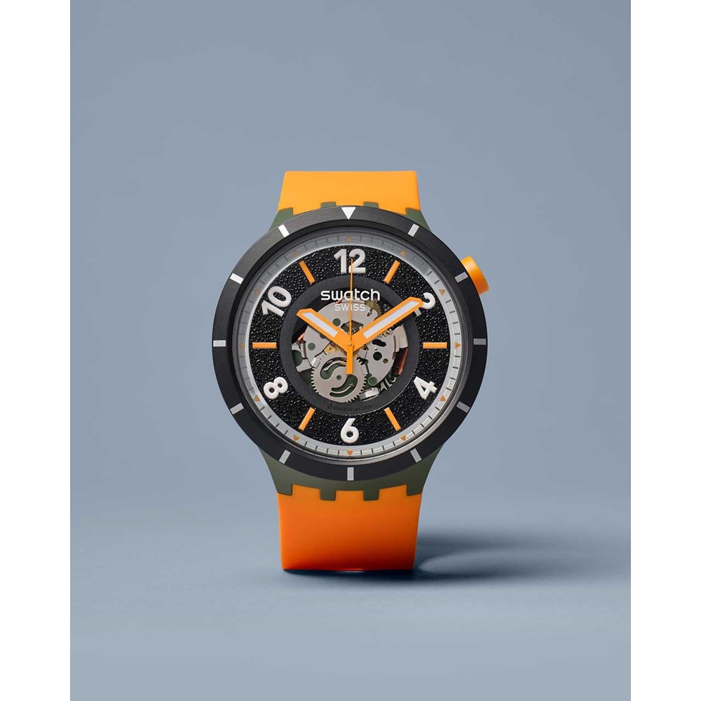 SWATCH FALL-IAGE