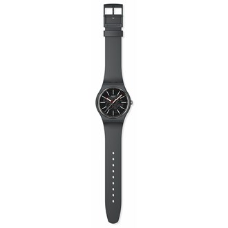 SWATCH 