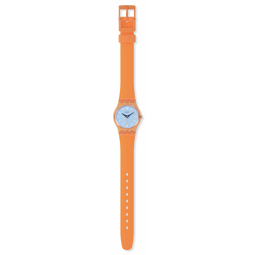 SWATCH VIEW FROM A MESA lifestyle