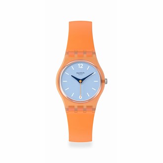 SWATCH VIEW FROM A MESA