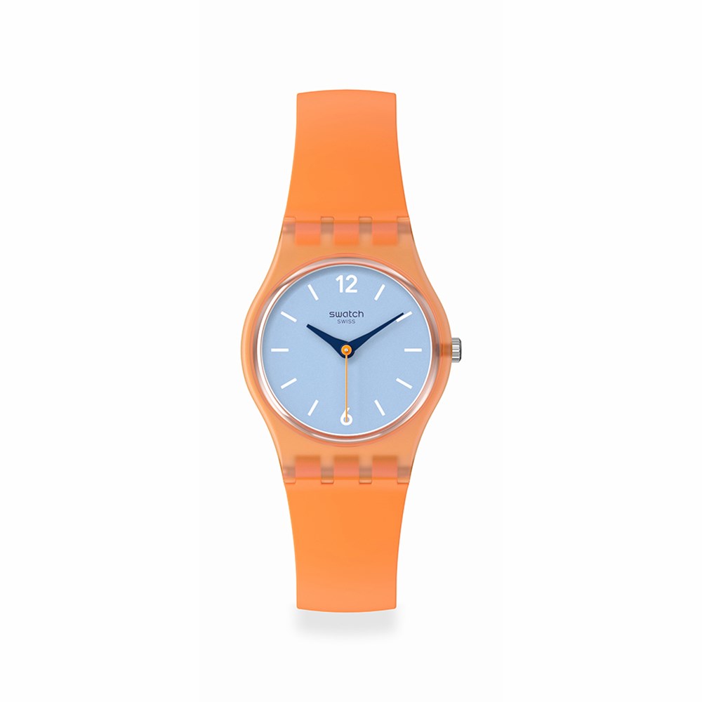 SWATCH VIEW FROM A MESA