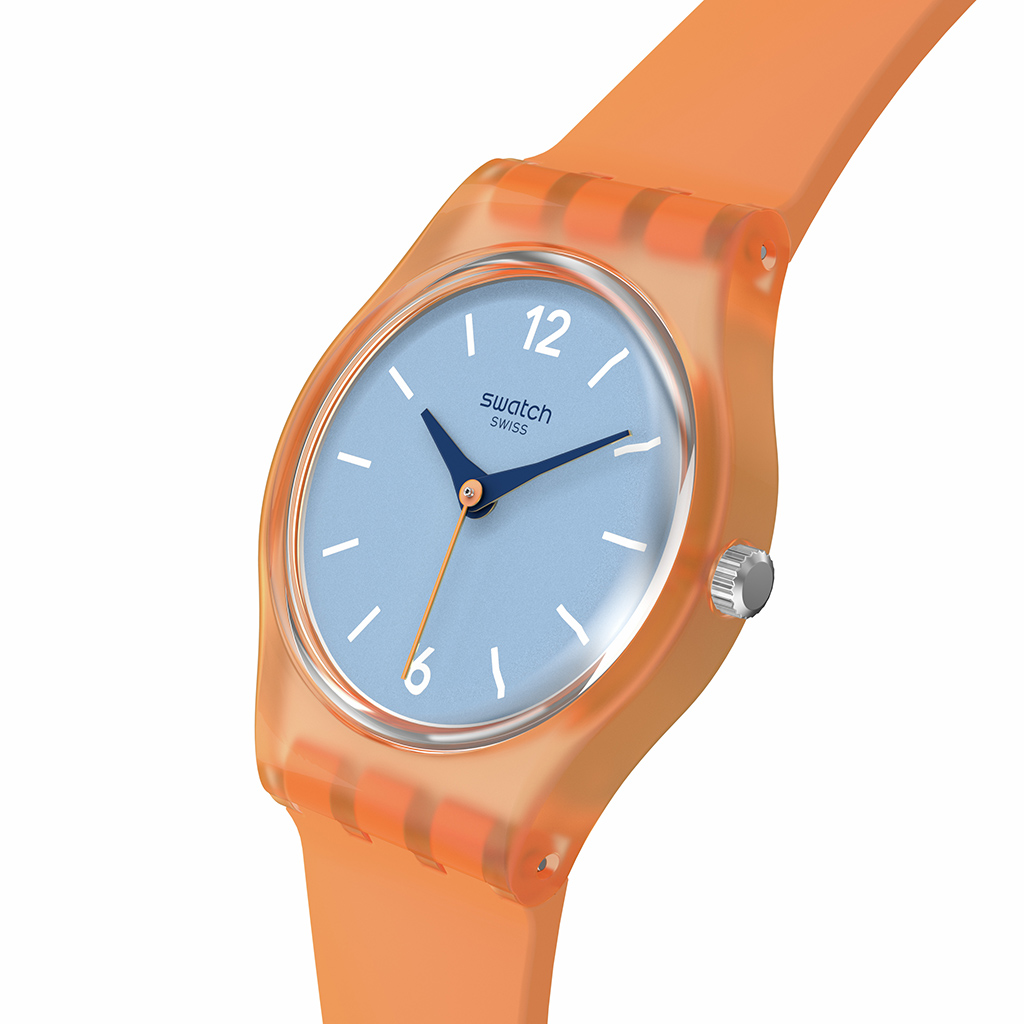 SWATCH VIEW FROM A MESA lifestyle