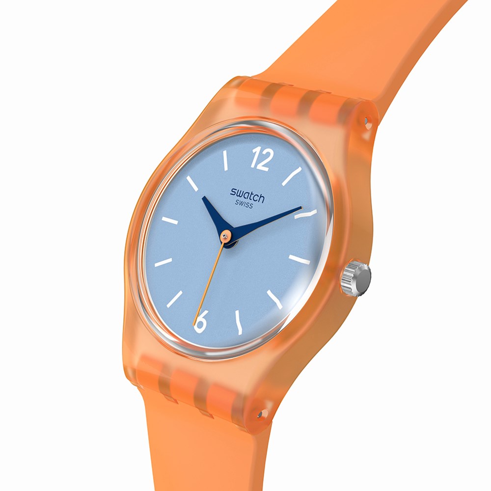 SWATCH VIEW FROM A MESA